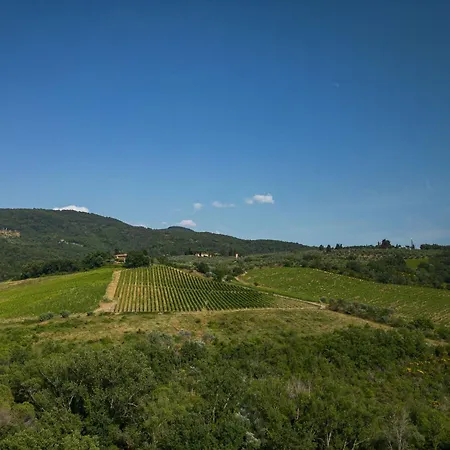 Il Poggetto Kamp alanı *